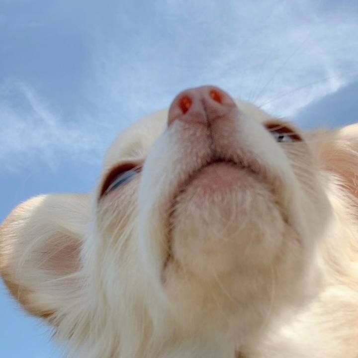 6e20a78f afc4 4550 a919 1c36c7beacf7 1606385638268