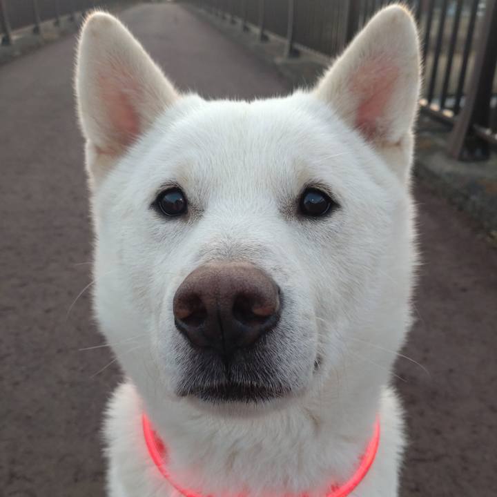 6e215b23 cea9 4cdd ac8d a322eb332a27 1678536284475