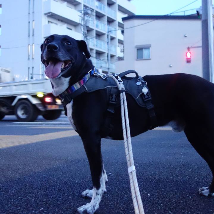 6e21dc70 1d9c 44b0 8181 109e890e87b6 1654167086441