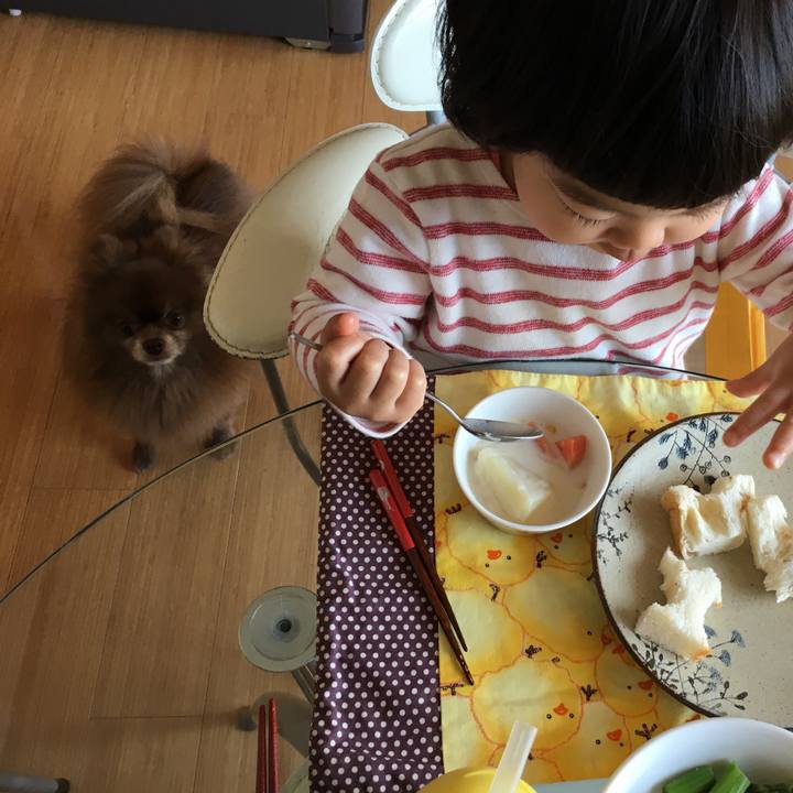 6e22103e 2d5d 4c5c 9990 78ecc71aab92 1524117278220