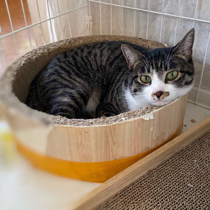 6e221eff eb02 43ac ad7a 076cc261c6ca 1718272324371