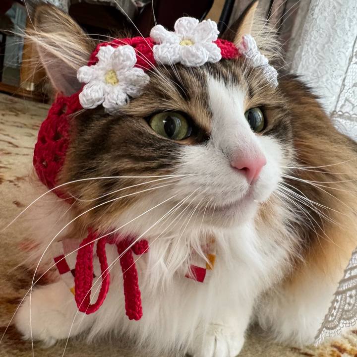 6e227067 6e6e 4aba a6b8 8d6bca30aa72 1773358979316