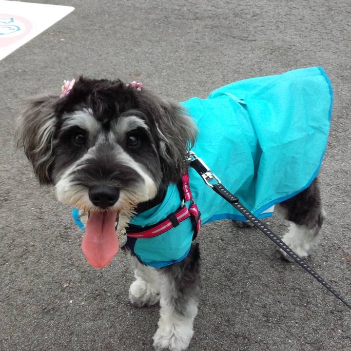 6e22d914 e73a 40f3 a275 ff5a2bfa991d 1522071815225