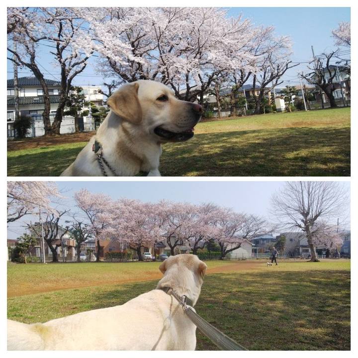 6e234778 58e0 4301 b1de 716cafa4e41b 1522292978616