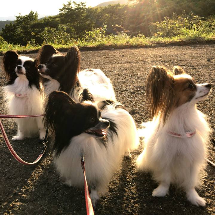 6e2353cd 2ab9 4bde 9e66 98c2f9432528 1534595819974