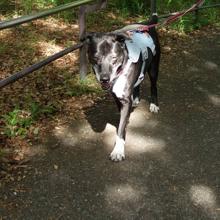 6e23629a f40b 4a49 90f5 265c38fb9d11 1748479686849