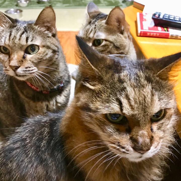 6e236e20 efa9 4c8d b96a a67f5e01afdb 1508678123923