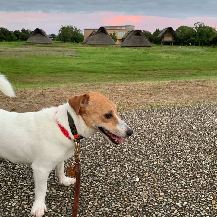 6e23e5fc a11d 4b1e b77f b02bd4c28430 1565003709308