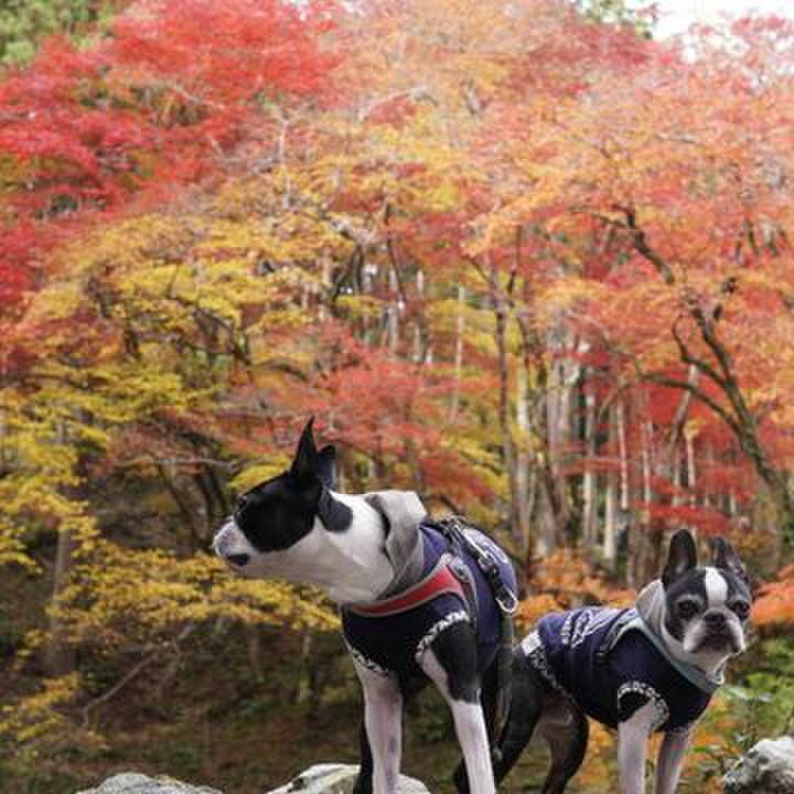 6e240004 6c3a 4687 8d2e 7f27cae3f314 1574593150624