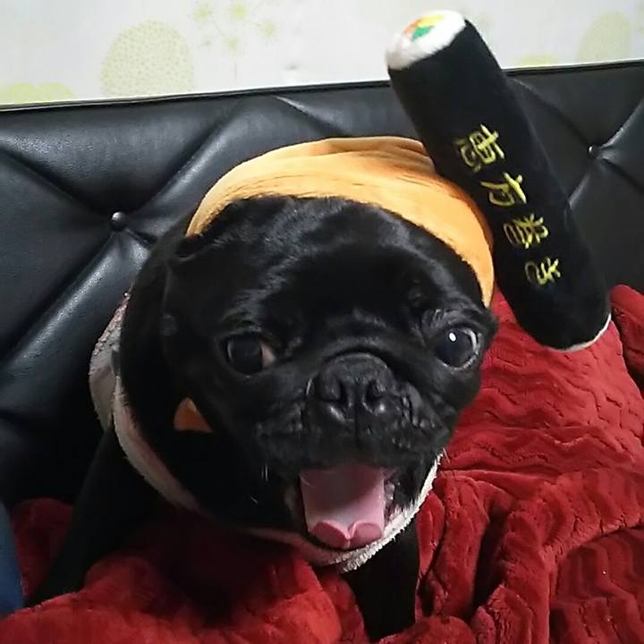 6e240ac7 cc64 4457 ba5f b2af50b789dc 1549185301563