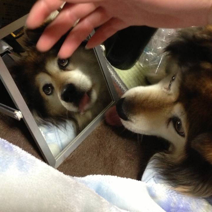 6e241591 dabb 4ddd aff3 9ef52c407be6 1564047268173