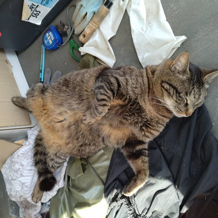 6e24209d 9010 403d b404 6a67952cd2e6 1714727631951