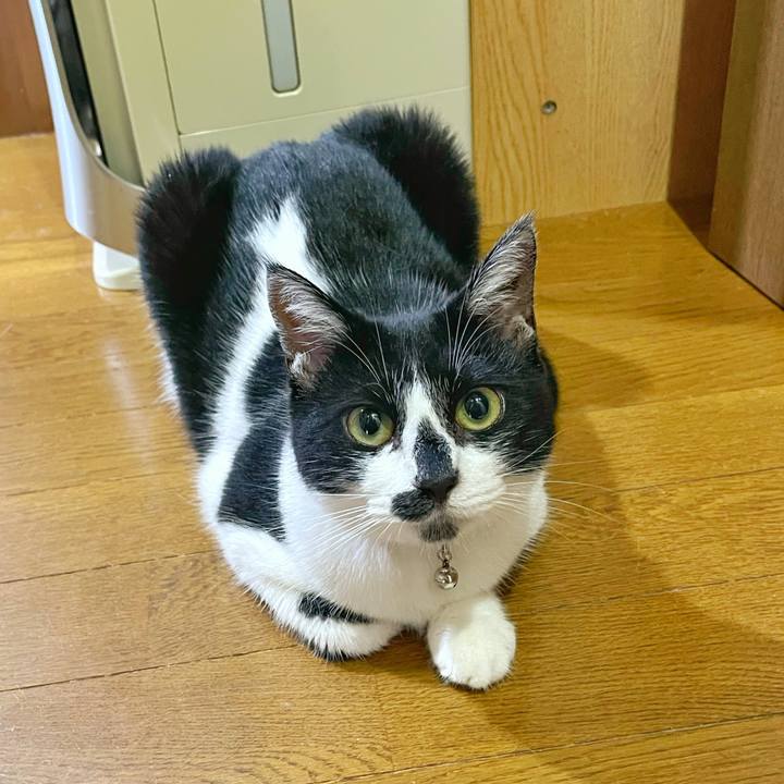 6e2447fe e06f 482d 9621 85131c5e77ba 1752533782982