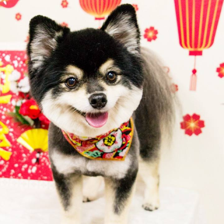 6e244e15 14d0 4028 9370 7ff85e9a2b4c 1515401646737