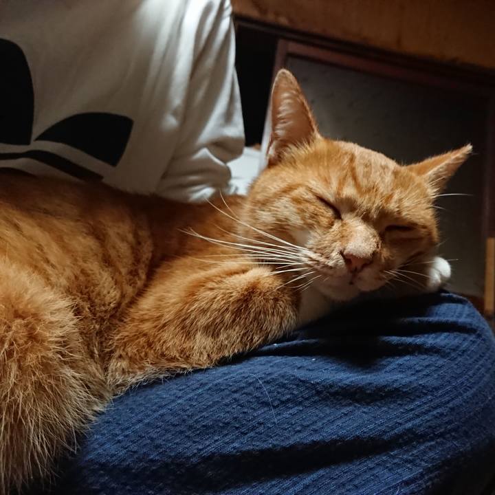 6e24683e 27a7 4592 b1b0 b5647b8c5757 1600550386191