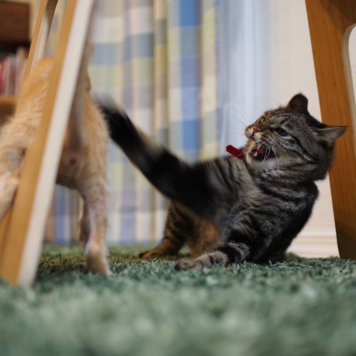 6e247e82 321b 4827 a511 f055c95ddd31 1570625968495