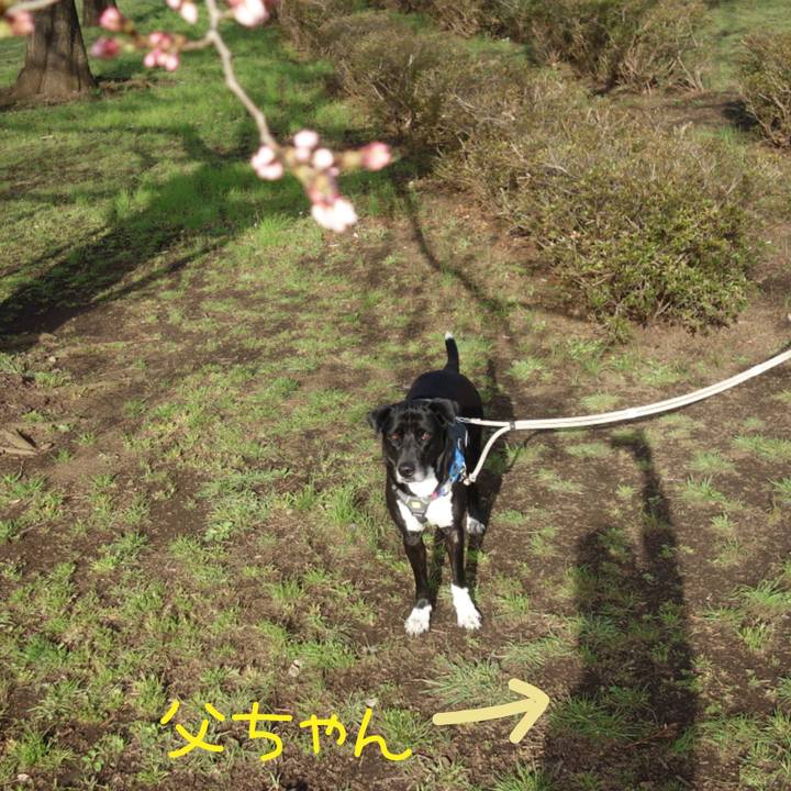 6e2487e4 c925 44bd 8ec2 1b582d1cb866 1648168129365