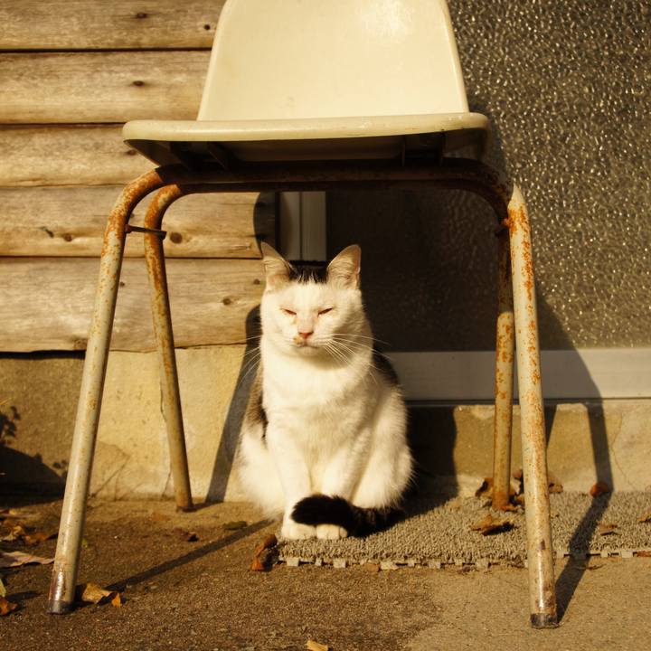 6e24a3d5 1374 4535 8bdd cbce1dc4660e 1509855823910