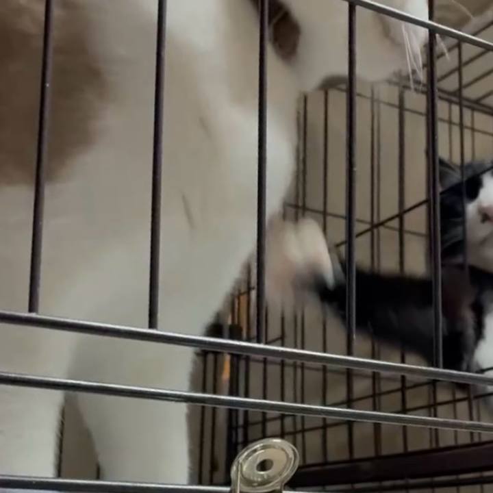 6e24b84e ca0b 46d8 9b8f d71b2cf0d3ed 1762857274882