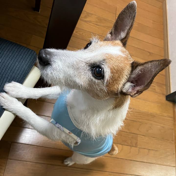 6e24c77f c36f 4a96 9f08 f655c31c4d50 1685661590176