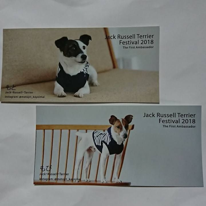 6e24d27f df8d 435c 99d5 4dfae30d8e23 1532269054467