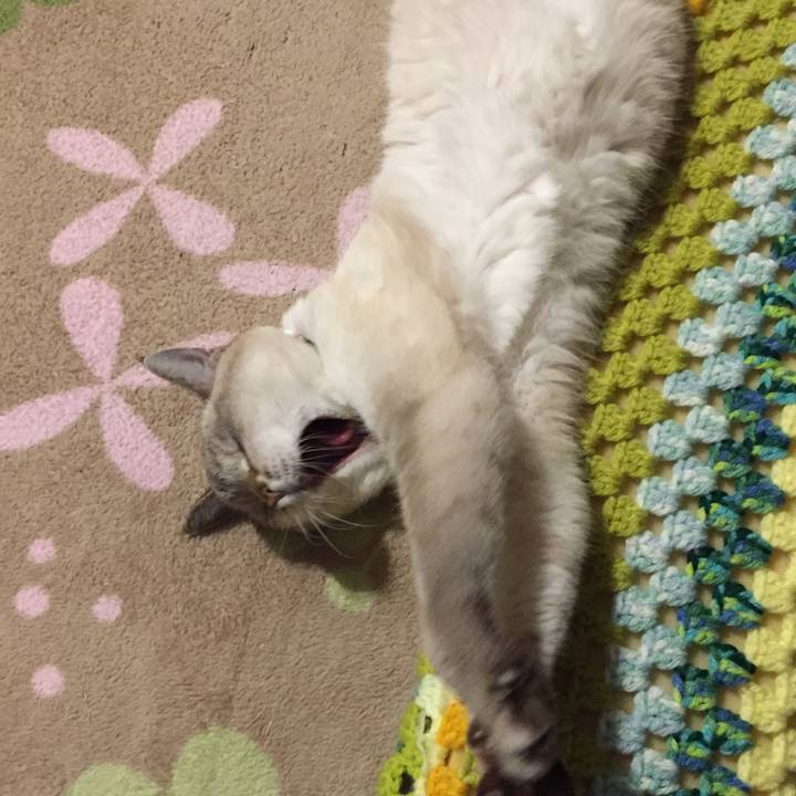 6e24dd97 2cda 441d bfb6 6ef9329385b0 1573295742099