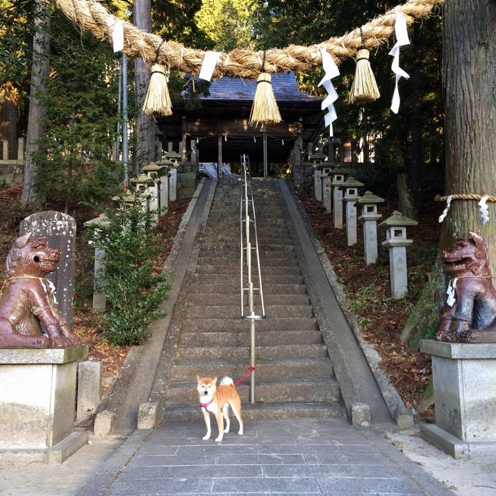 6e2500d6 ed4a 4835 b5ee dc110cf677bd 1513826618769