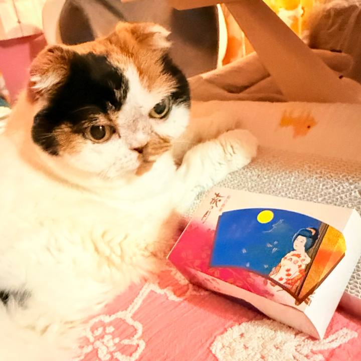 6e253d10 1074 4ee9 bff1 42e419ba7bf9 1761949300346