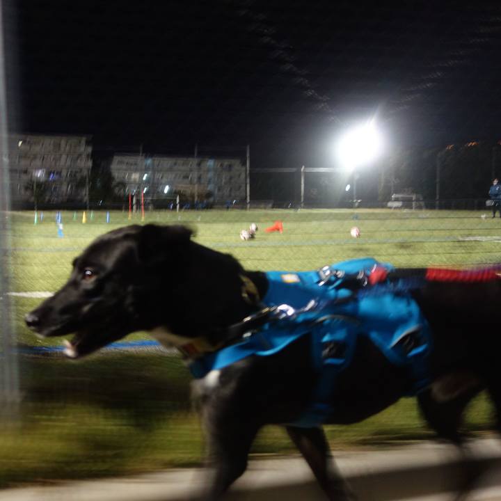 6e25d649 b1d8 41a1 b640 df8d377427fe 1604570859299