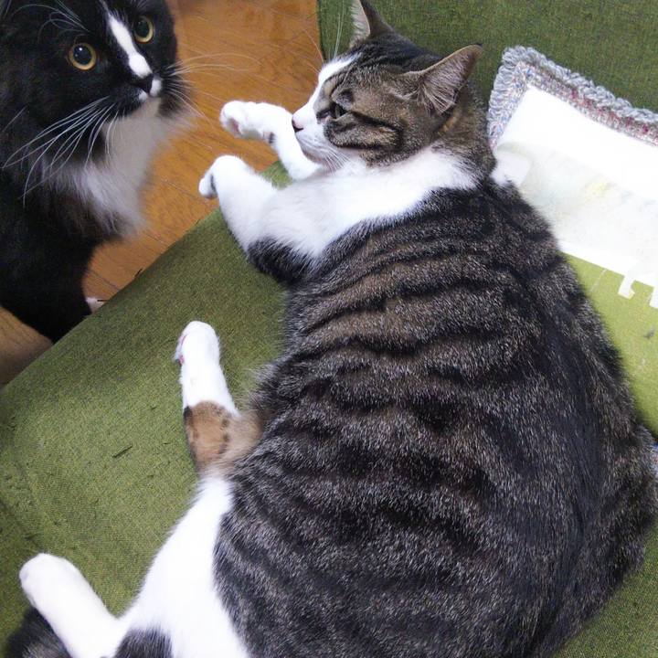 6e25e105 530f 4df7 b02a 182943d646e0 1652534255100