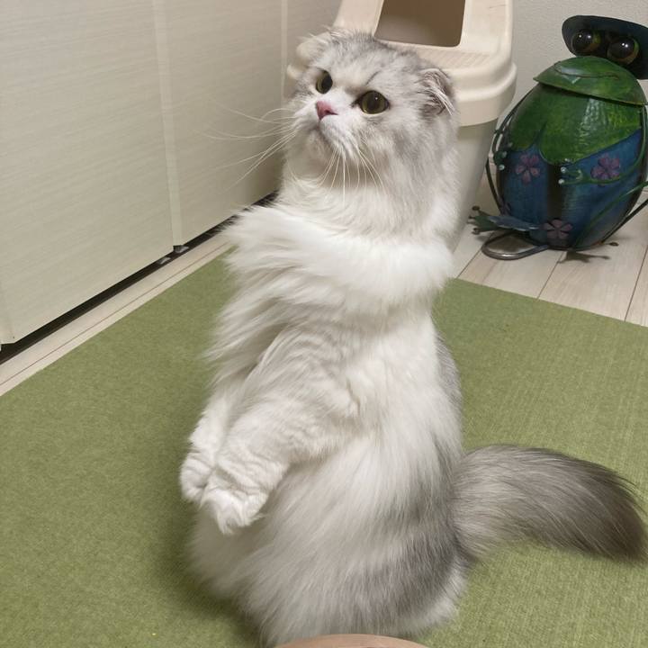 6e25fa2d 9d31 4ea0 9ba0 d20f47675b24 1685624770067