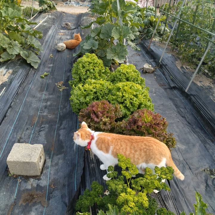 6e267d6c 6fa0 462f 812f a250f1b57b39 1750287884372