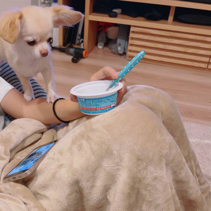 6e26c0a4 0318 47d0 b93f 23136d0dddc8 1757852810160