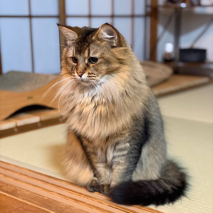 6e26d79e 8d48 4a43 8cbd 58b3972fc6c8 1763296295996