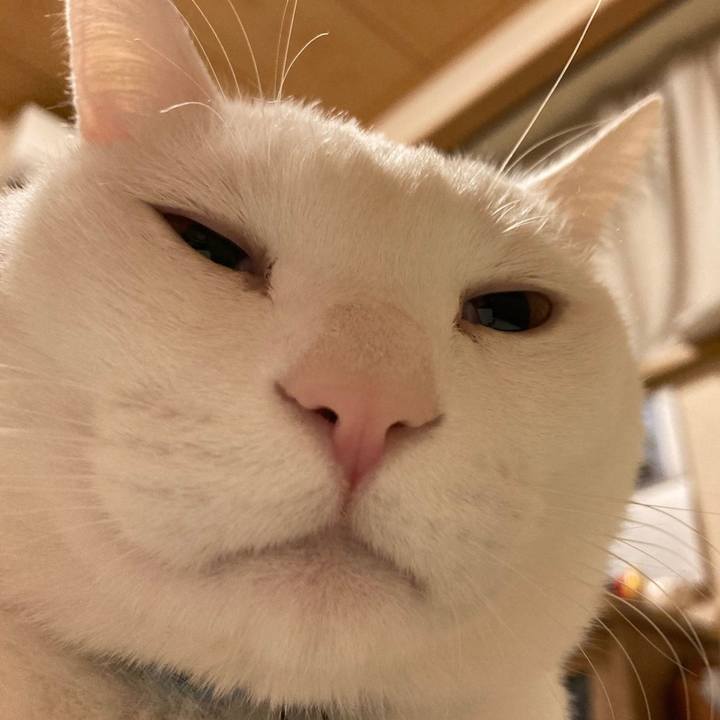 6e2714d2 bef6 4a23 a402 64988b7f69e1 1608737613039