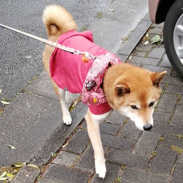 6e274723 bd44 4782 a19d ececbc84b019 1588552517507