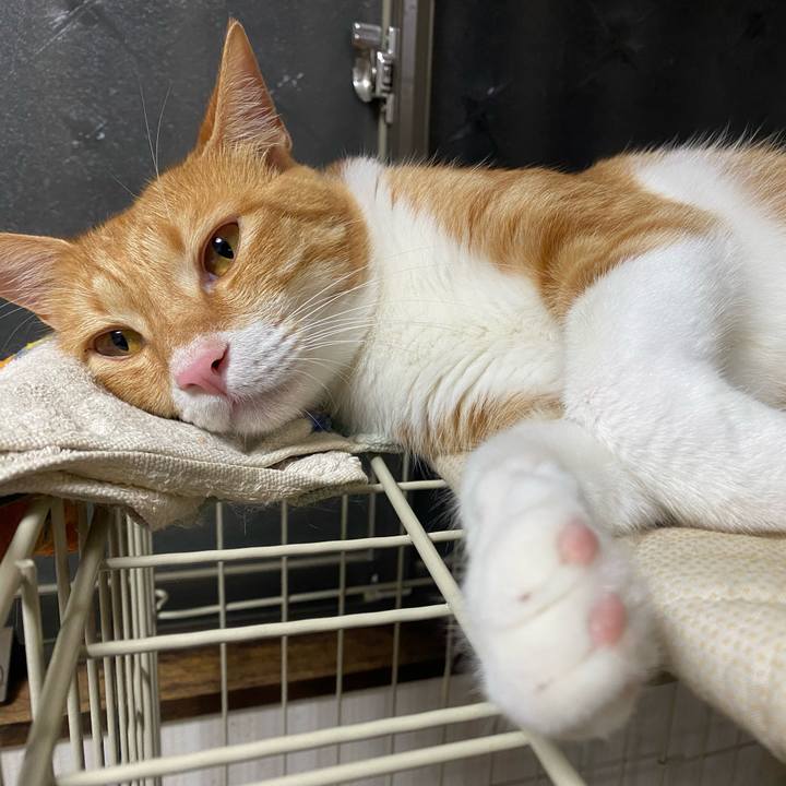 6e274979 fe3a 4e44 a838 8ac2f4a9fe06 1659019675345