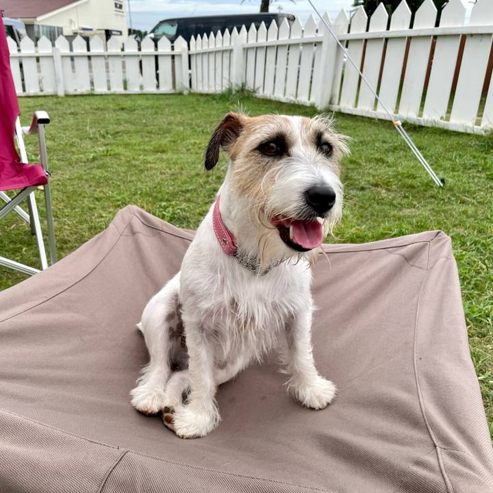 6e2787e0 1832 4541 90de e0a29e10ed89 1660993456966