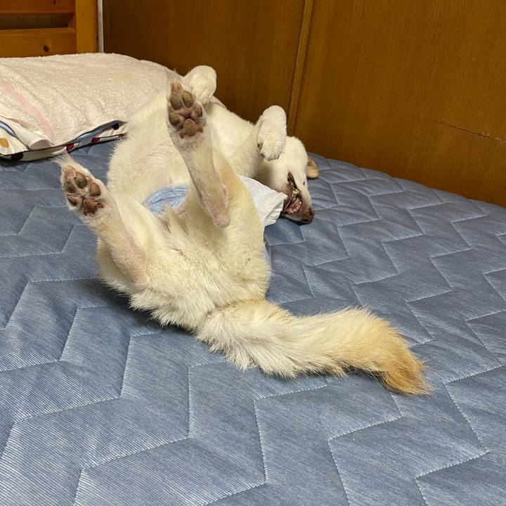 6e278ecb 5508 457c 8870 d454dd5c5953 1661945604281