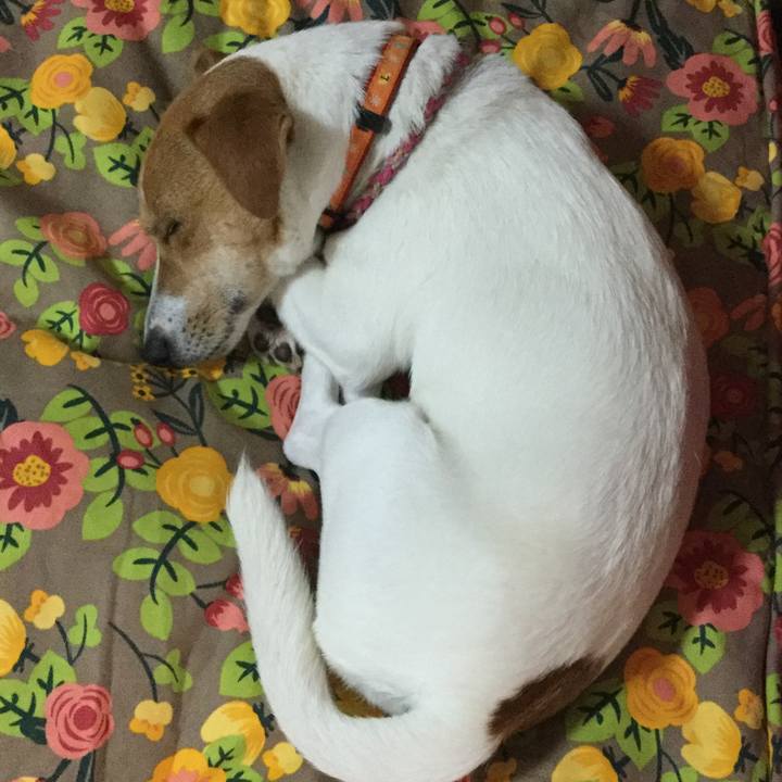 6e27ffe0 68cc 44e9 9be0 561c0d30321f 1526806335438