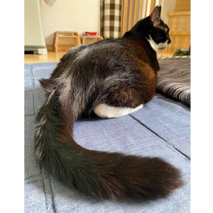 6e28079a ea5f 40d0 9d2b 62786e624c6d 1688476259984