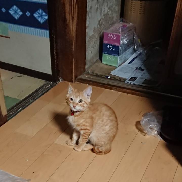 6e2807fc 94de 49c7 a416 cc283f55970f 1632515668016