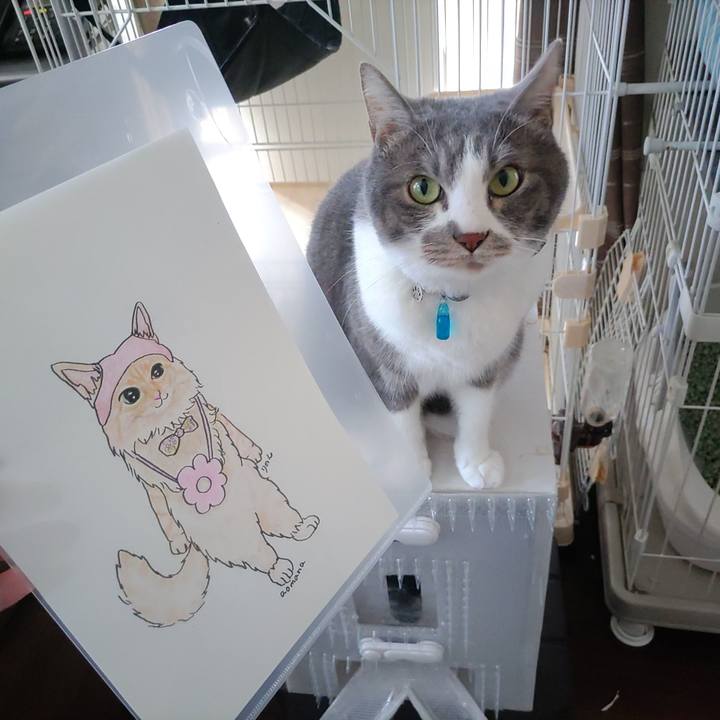 6e2822cb 2797 4cd5 a4fd 341137f6e1be 1713068608419