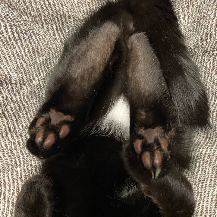 6e284449 4e0c 4430 adf6 2cf6bfe227c6 1616670609742