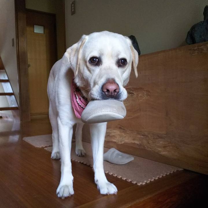 6e287600 e590 4cae 875a fc6b965c8e8b 1524018558674