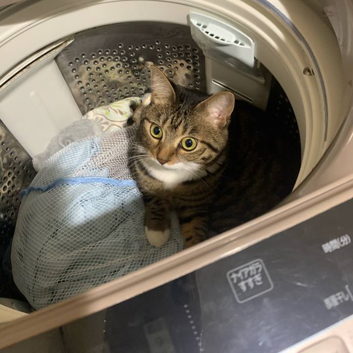 6e288601 7580 47db ba27 4f5ed6b6f2b1 1604922480296