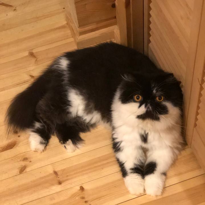 6e2899b2 3fe1 4dc7 9ac5 4a9d4932a5e7 1571743707491