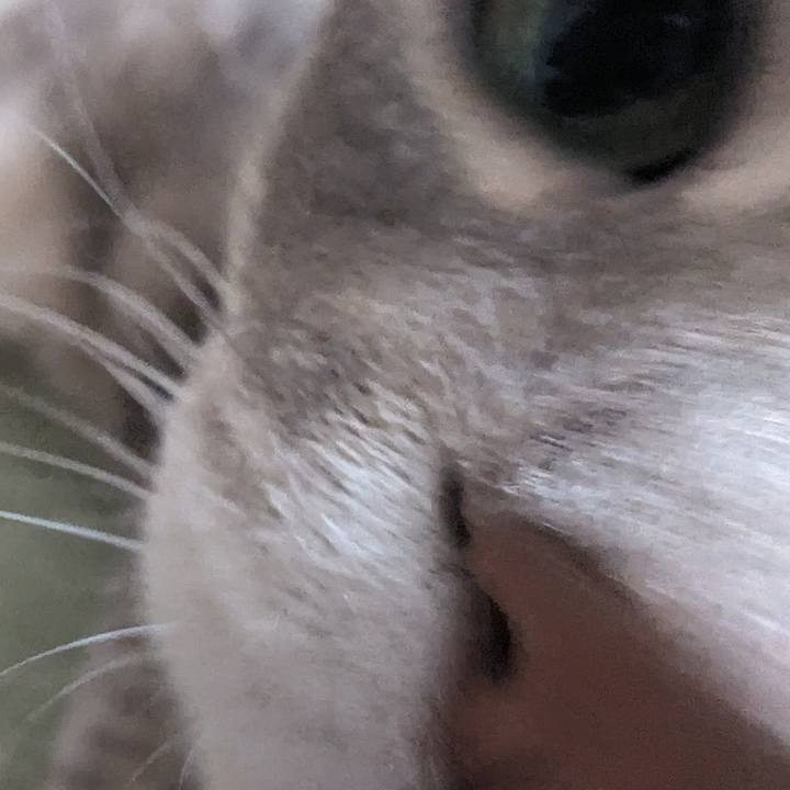 6e28a8e2 b946 4434 bbcb f4dbc4748268 1717236611654