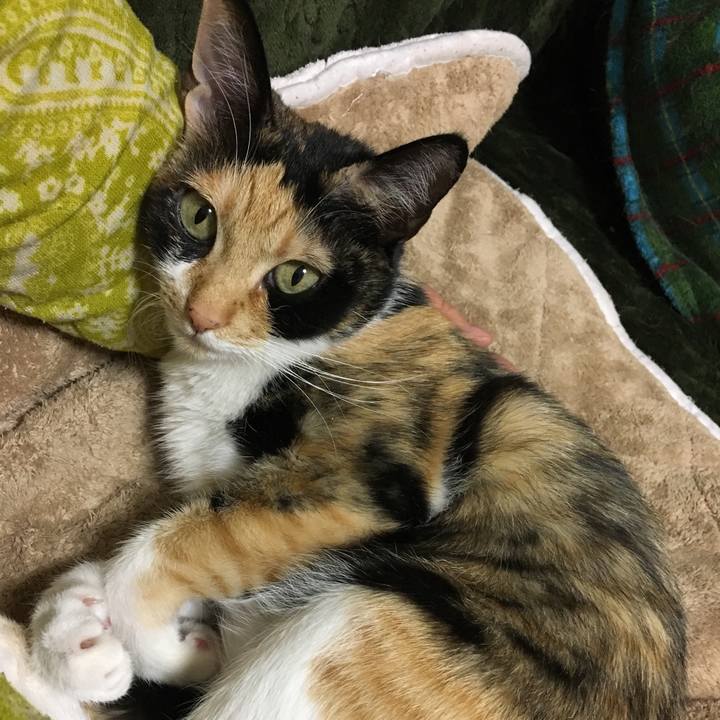 6e28b9bc f899 49b3 a3e3 6210858a8590 1518772579032