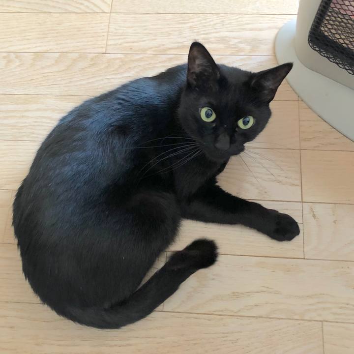 6e28be40 bc90 4d55 9a9b 6e0e051dc272 1554947756942